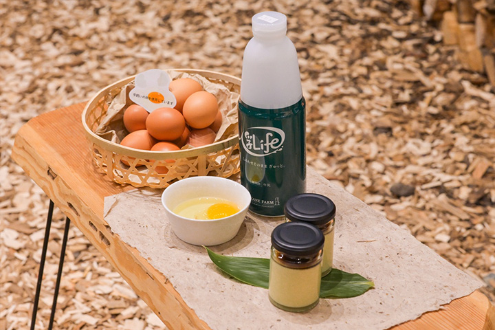 画像:ハルニレぽっぽ